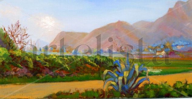 Pita y huertas al fondo, Orihuela (Murcia) Oil Canvas Landscaping