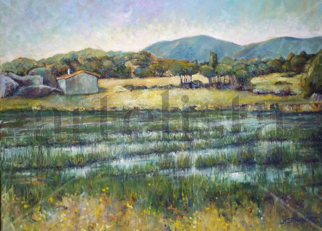 paisaje en El Tiemblo