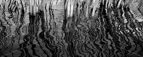 Abstracción Natural