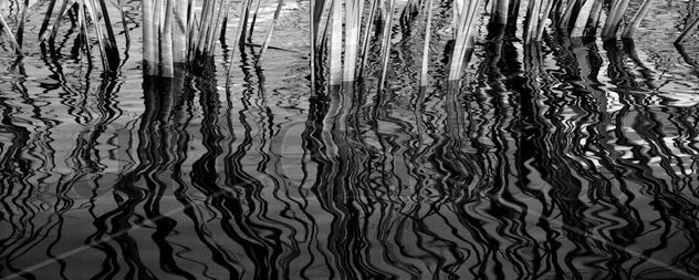 Abstracción Natural