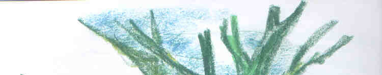 Imagen de portada