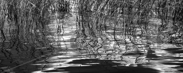 Simples reflejos Conceptual/Abstract Black and White (Digital)