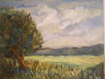 paisaje de cordoba