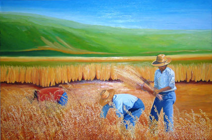 Cosecha en el Campo