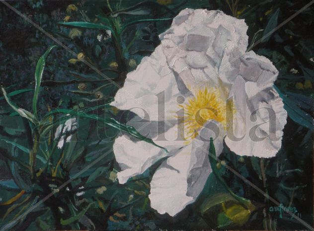 Flor de jara