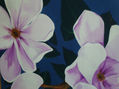 magnolias