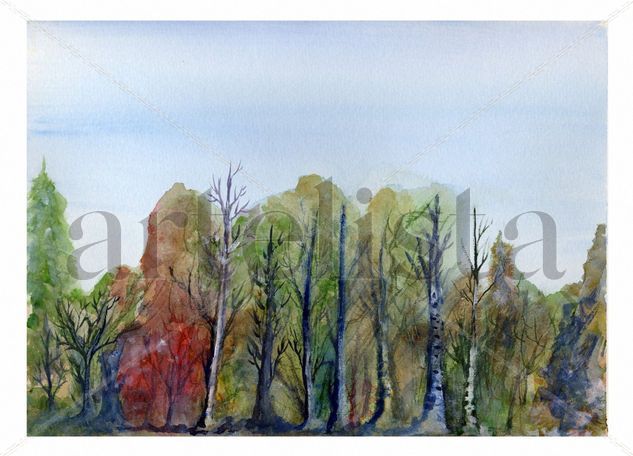 Bosque Acuarela Papel Paisaje