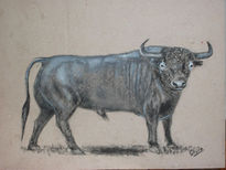 Toro