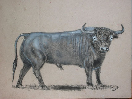 Toro