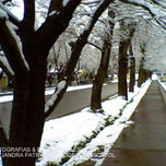 "HUELLAS BLANCAS" (FOTOGRAFIAS & EFECTOS/ ALEXIA 2011) thumbnail 2