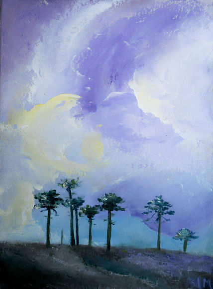 Araucarias