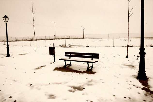 NIEVE 377