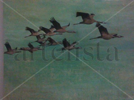 Vuelo