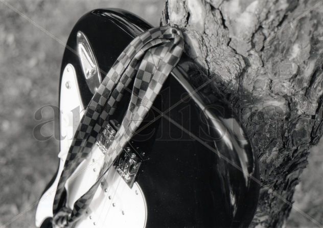 Conexión con la naturaleza I