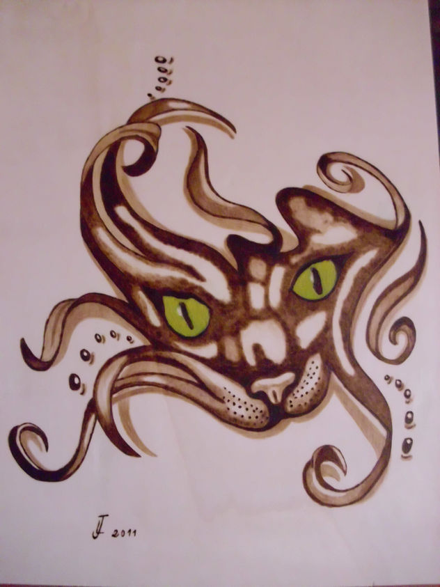 gato