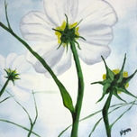 Plantas y flores thumbnail 2