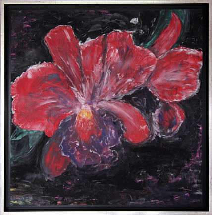 Flor Hibisco
