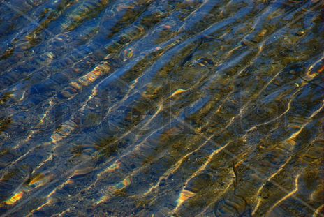Ondulaciones reflejas