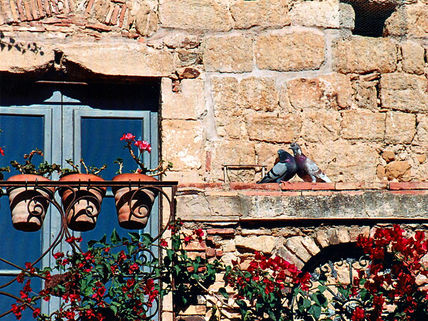 Balcones 9
