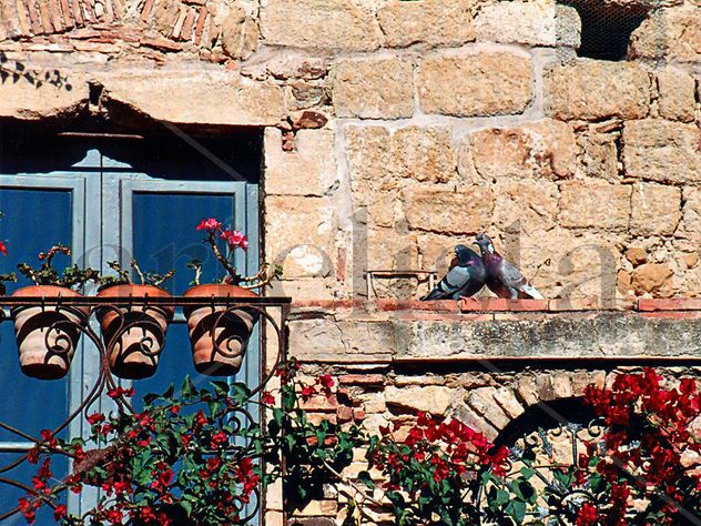 Balcones 9