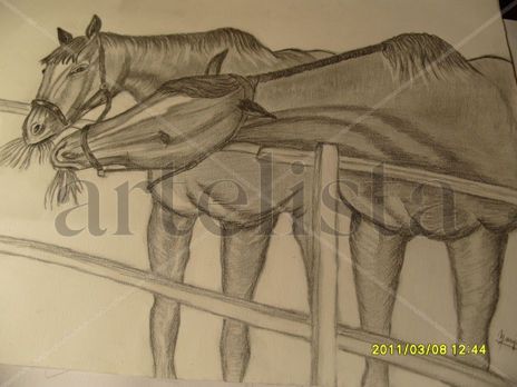 Caballos