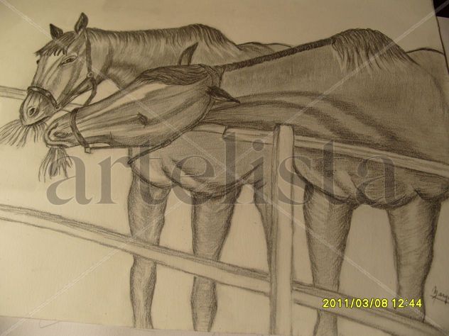 caballos