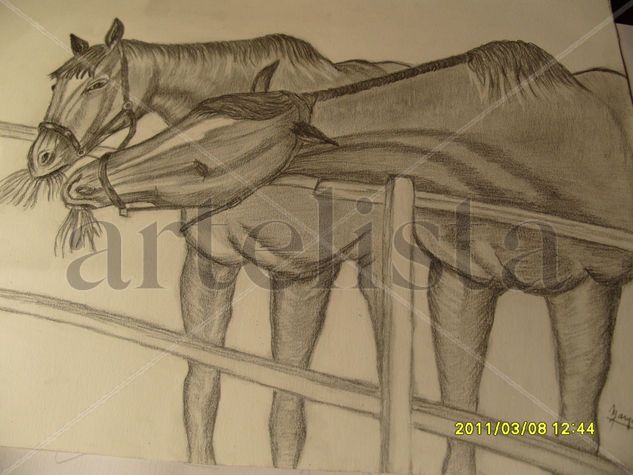 caballos Charcoal