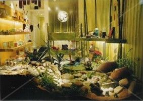 Bamboo