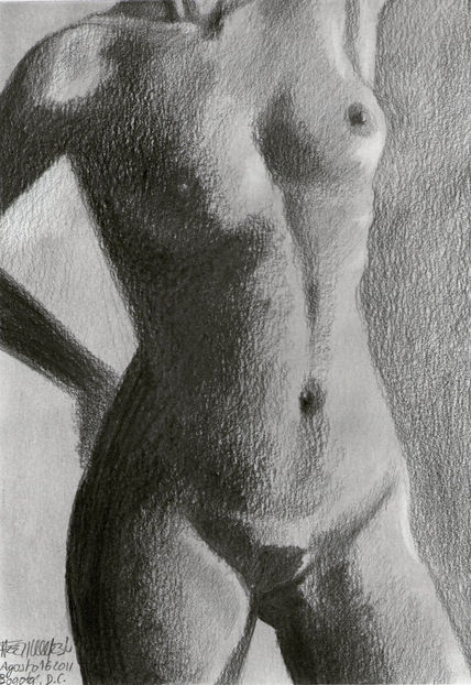 Torso Femenino en...