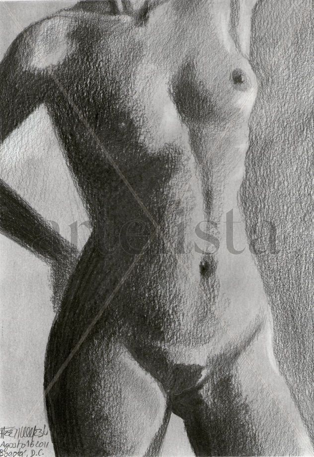 Torso Femenino en Sombras