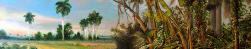 Imagen de portada