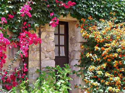 Puertas 4