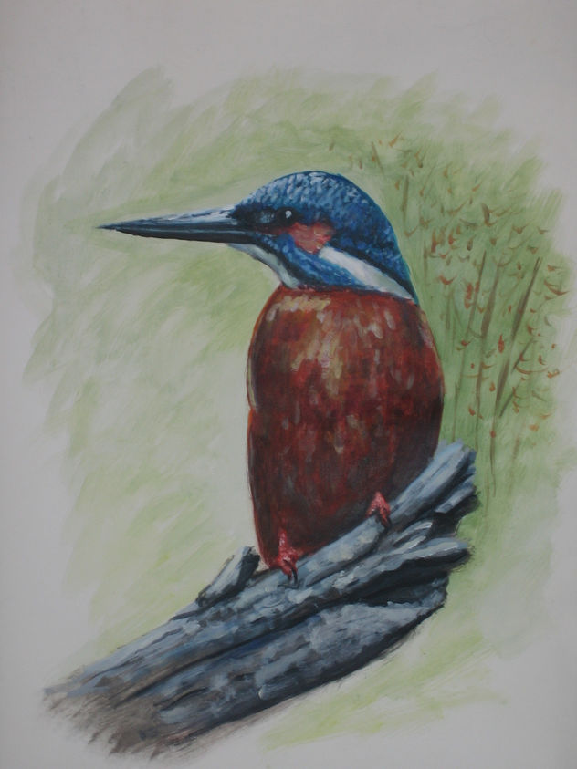 pajaro pescador