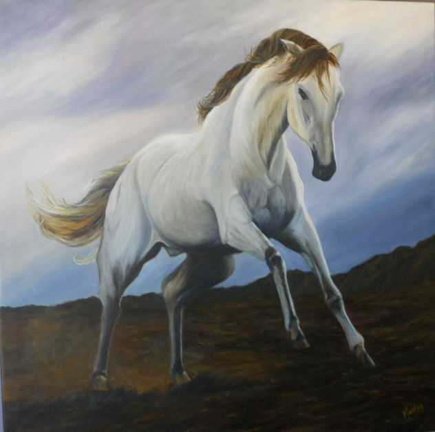 FURIA