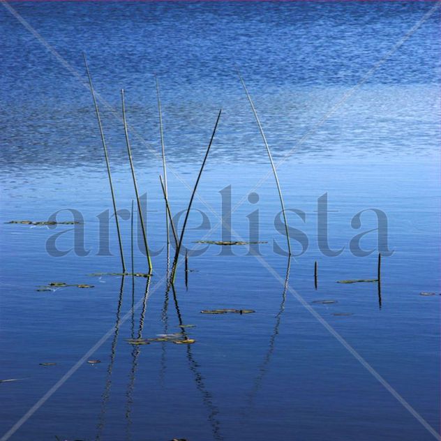 Abstracción lineal