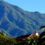 la palma house