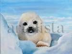 Foca de Groenlandia