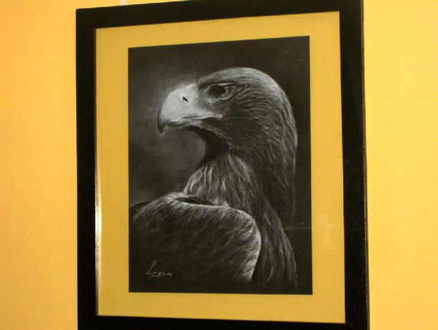 Mirada Canela