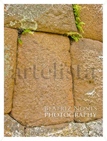 Piedras Juntas Photojournalism and Documentary Color (Digital)