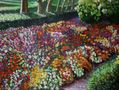 mosaico