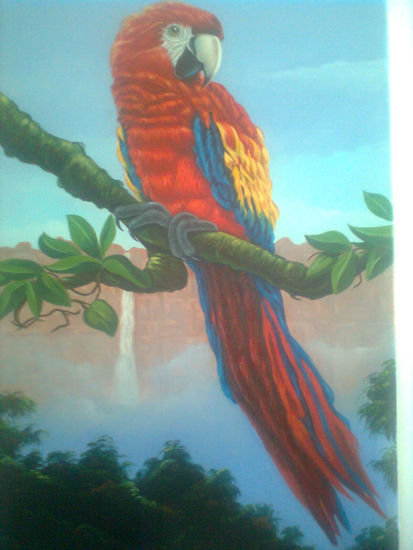 Guacamaya via Italia Óleo Lienzo Paisaje