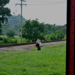 Cuba thumbnail 2