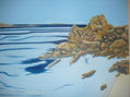 playa y rocas