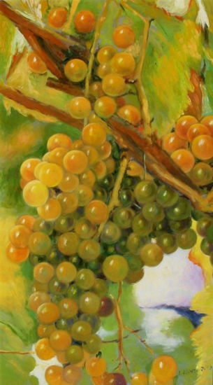 UVAS II Oil