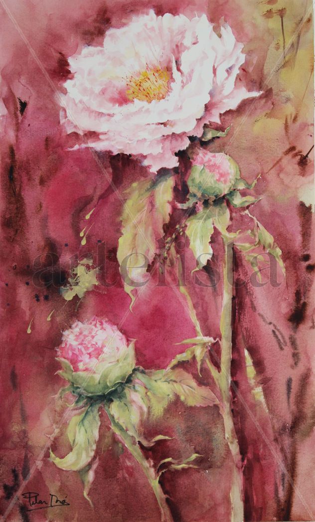 peonias