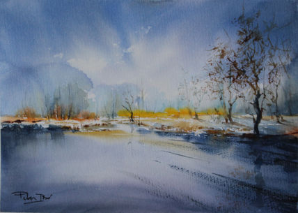 Paisaje nevado 1