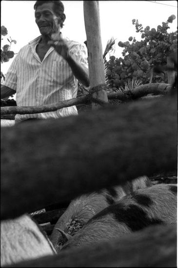 De la serie: Venezuela Photojournalism and Documentary Black and White (Manual)