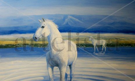 Caballos