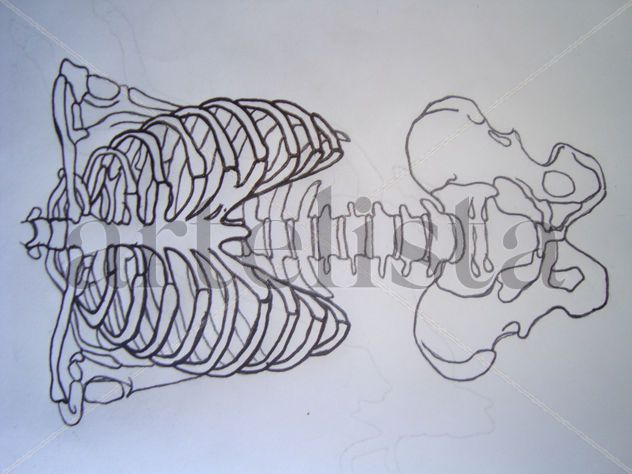 columna