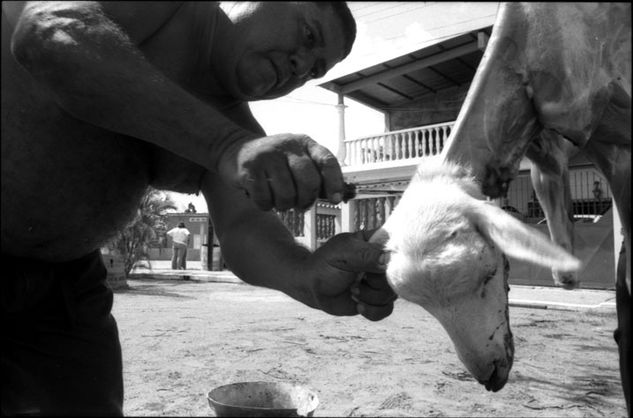 De la serie: Venezuela Fotoperiodismo y documental Blanco y Negro (Química)